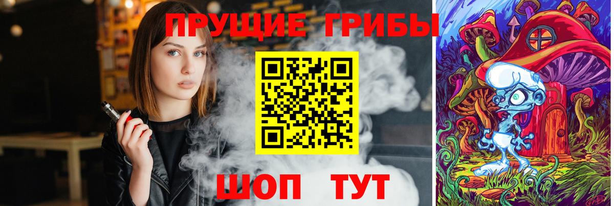 Галлюциногенные грибы Psilocybe Таганрог