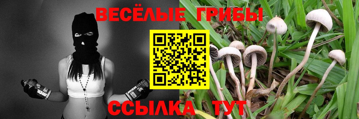 МЕТАДОН Таганрог